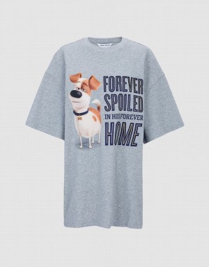 Urban Revivo The Secret Life Of Pets Oversized Women's T-Shirts Grey | KDZYSOA-31