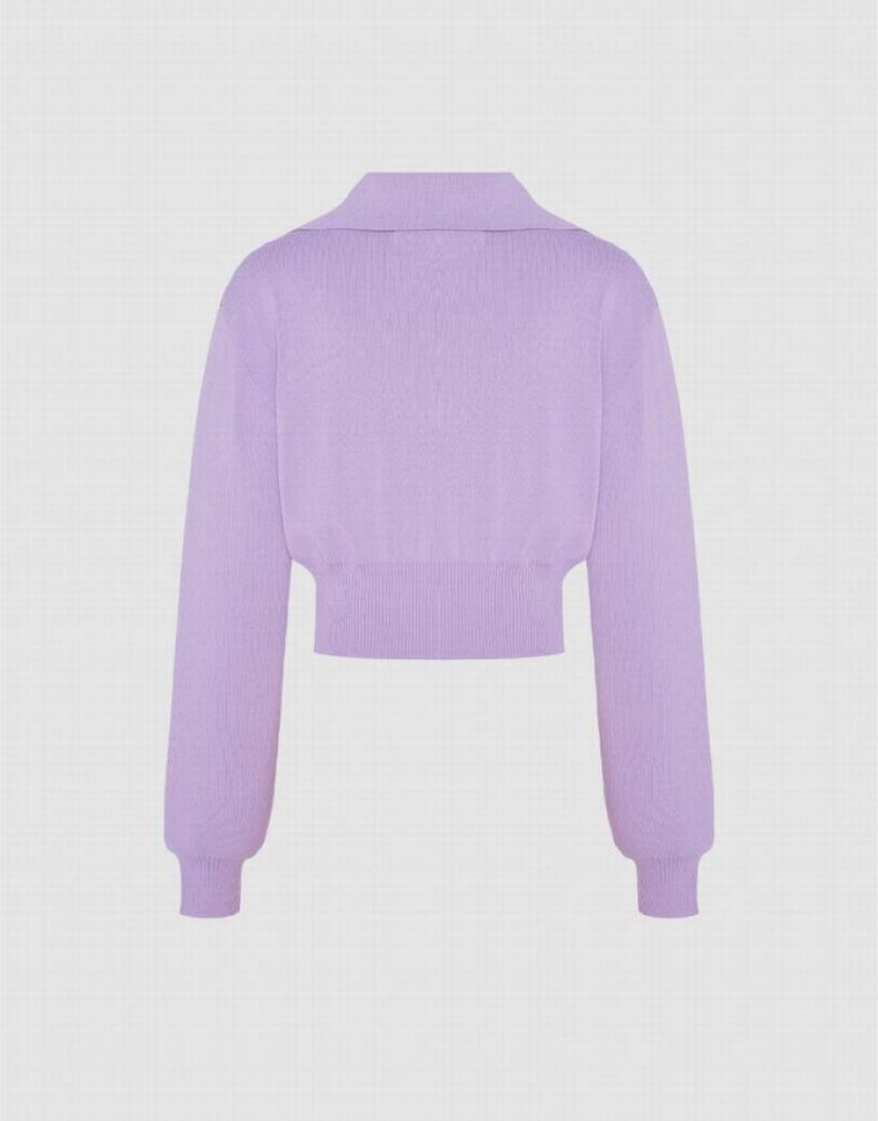 Urban Revivo Cropped Knit Women's Cardigan Purple | PSETAHI-93