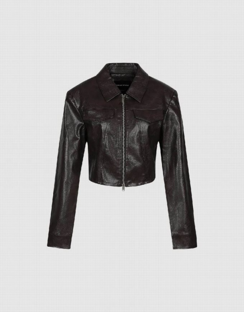 Urban Revivo Cropped Zipper Front Vegan Women's Leather Jackets Brown | AHNBUGJ-16