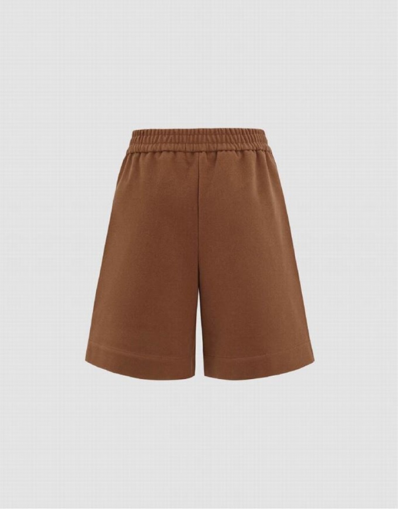 Urban Revivo Elastic Waist Knitted Women's Shorts Brown | FBZWRID-10