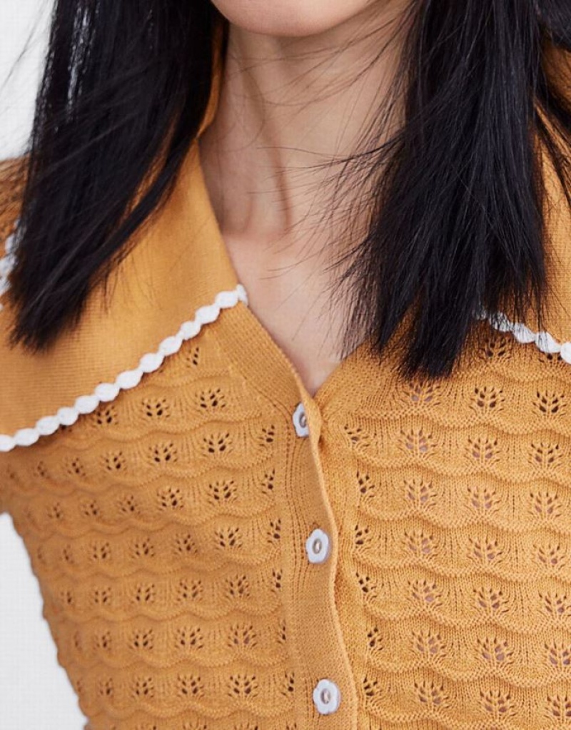 Urban Revivo Statement Collar Button Up Knitted Top Women's Cardigan Apricot | JIGVUEQ-90